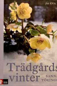 Töringe, Sanna "Trädgårdsvinter"