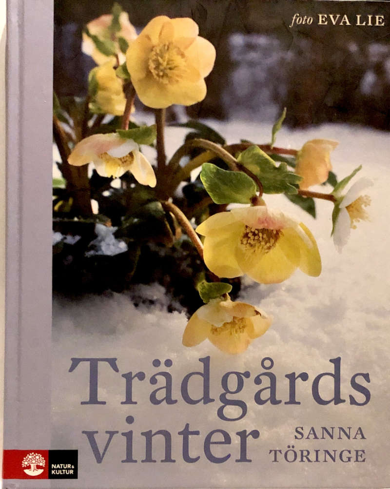 Töringe, Sanna "Trädgårdsvinter"