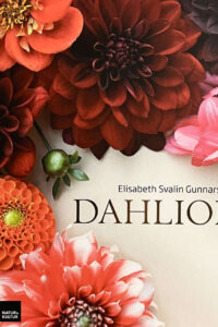 Svalin Gunnarsson, Elisabeth "Dahlior"