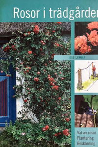 Lyngar, Dag "Rosor i trädgården"